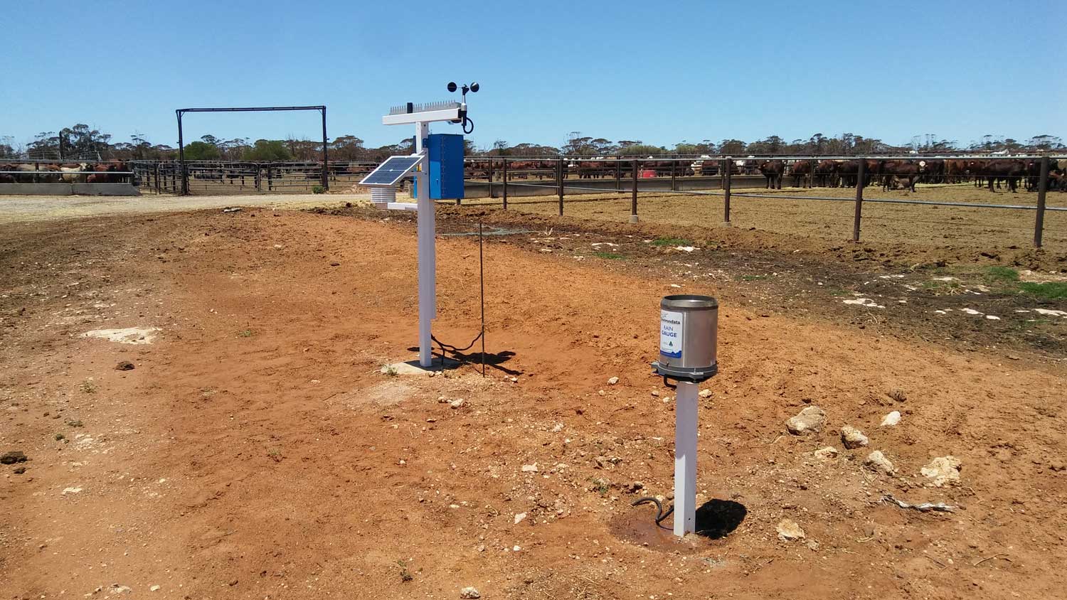 Feedlot Weather Station for Heat Stress Monitoring being serviced