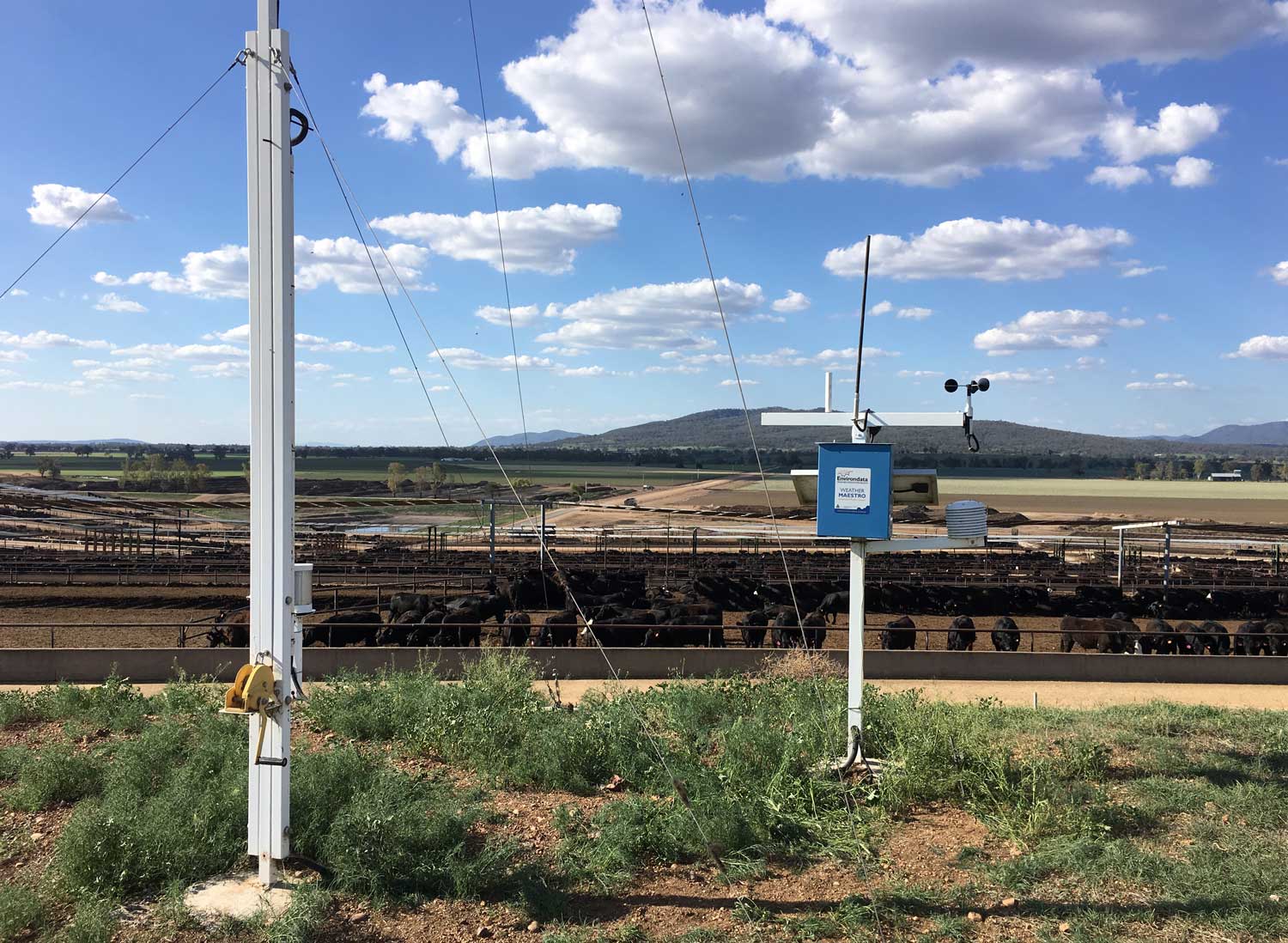 Feedlot Weather Station with 10m mast