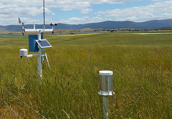 Weather Maestro Weather Station with Rain Gauge in Field for Crop Research